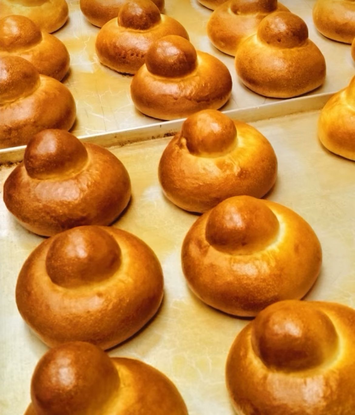 Sitica Gallery Image 58